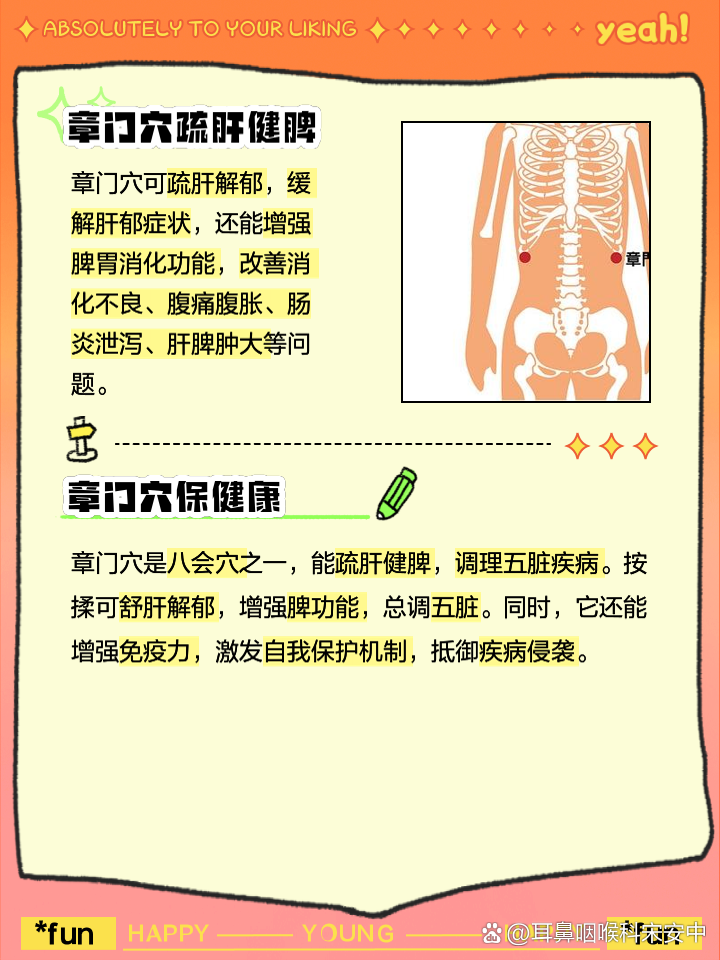 章门的准确位置图作用功效