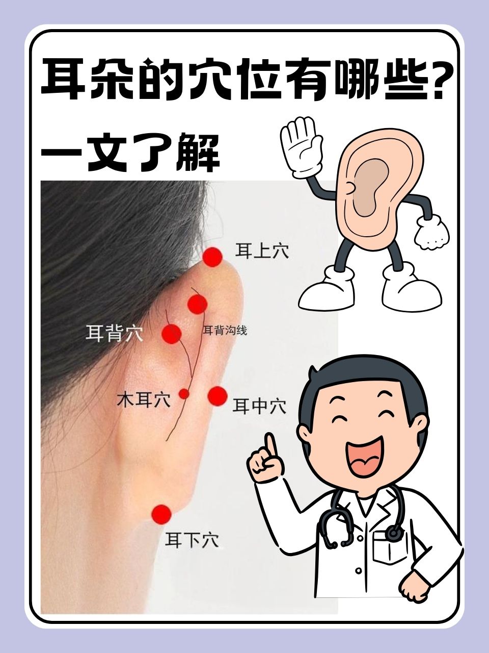 耳朵的穴位有哪些?一文了解