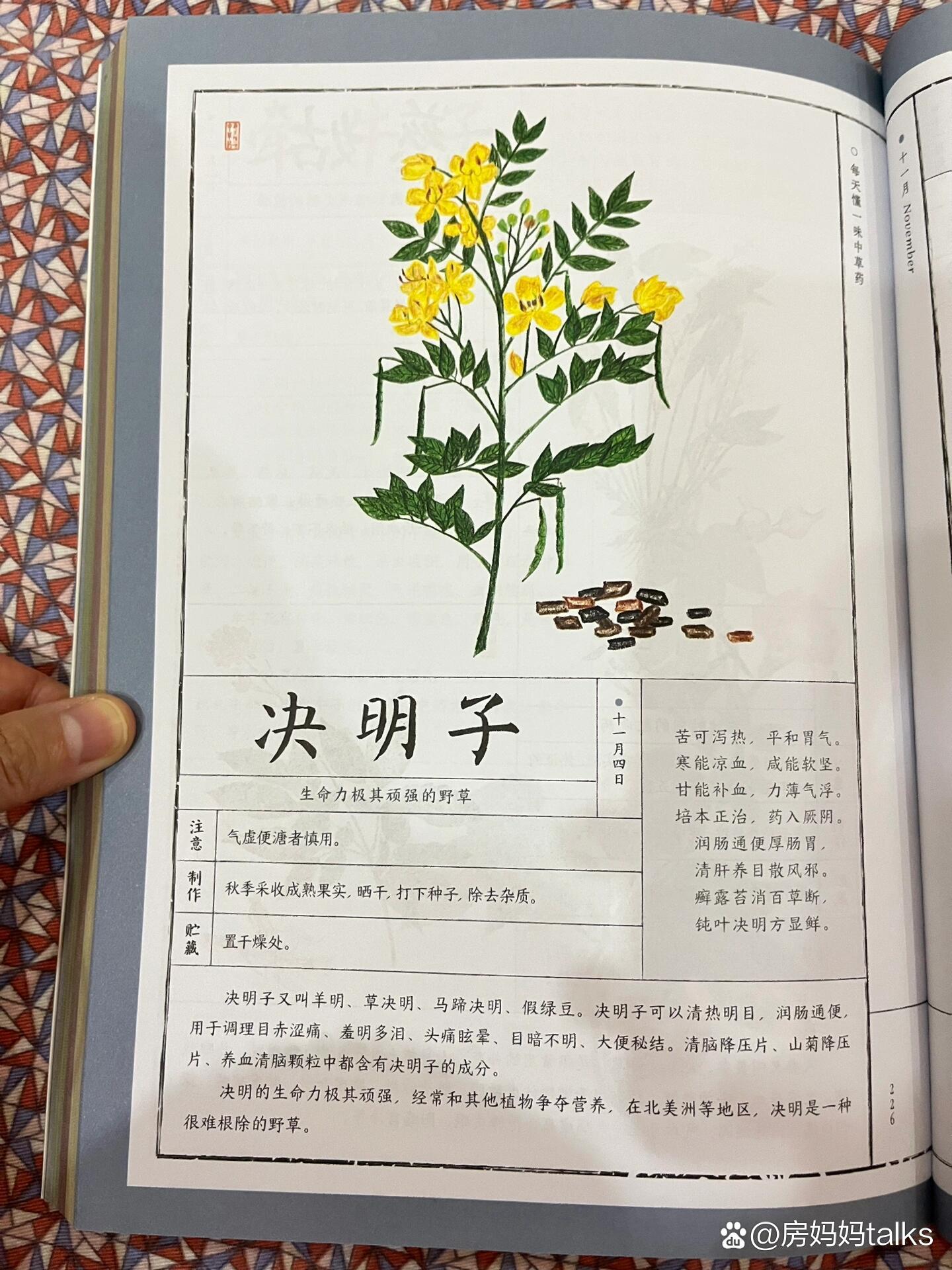 草决明种植栽培技术(草决明价格中药材天地网)
