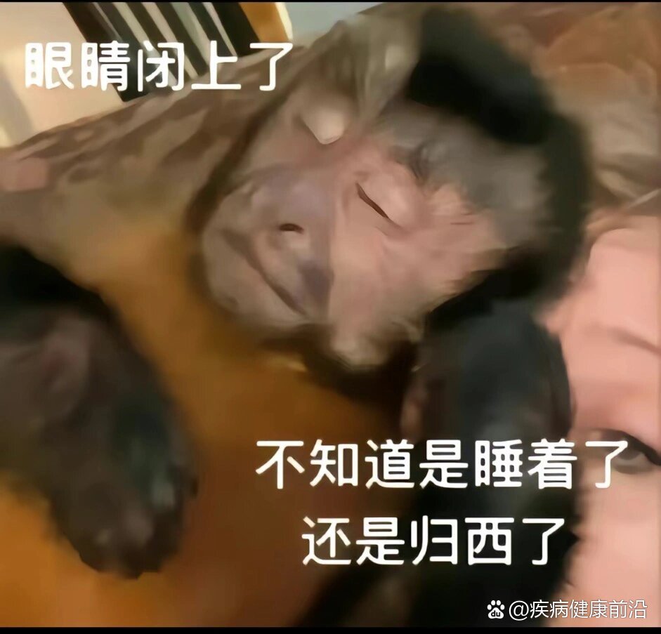 眼睛闭上了,应该是归西了