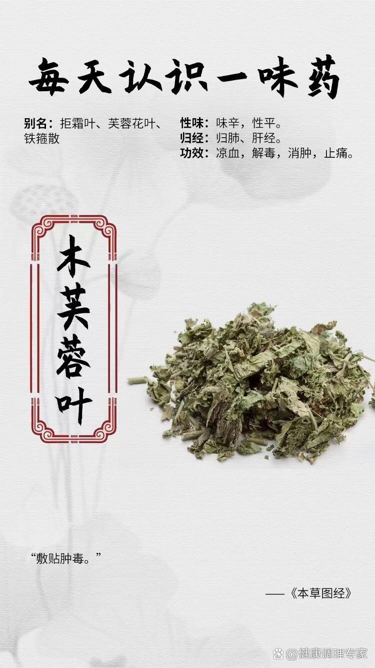  p>【每天认识一味药】木芙蓉叶 br>别名:拒霜叶,芙蓉花叶,铁箍散 br>
