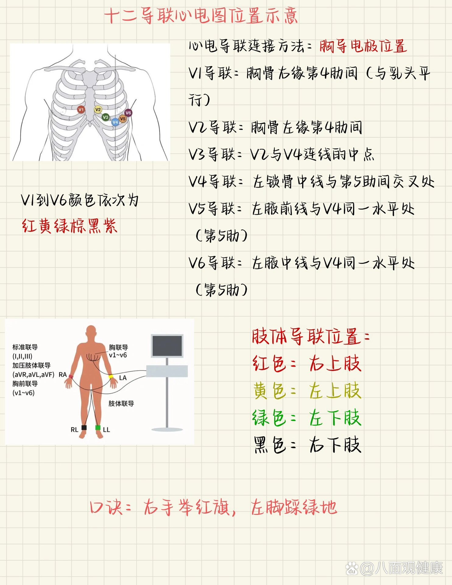 心电图十二导联位置记忆,红黄绿棕黑紫