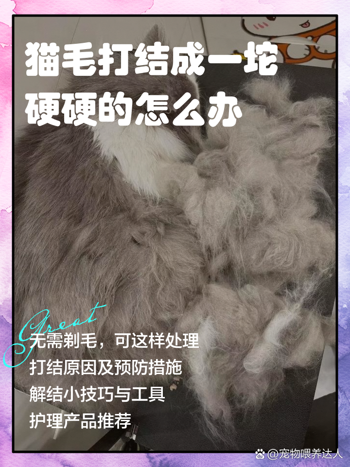 猫毛打结成一坨硬硬的怎么办