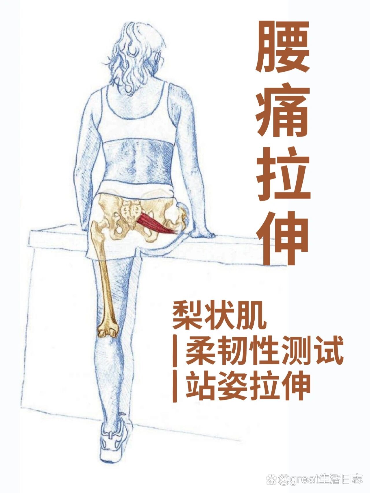 腰痛拉伸
