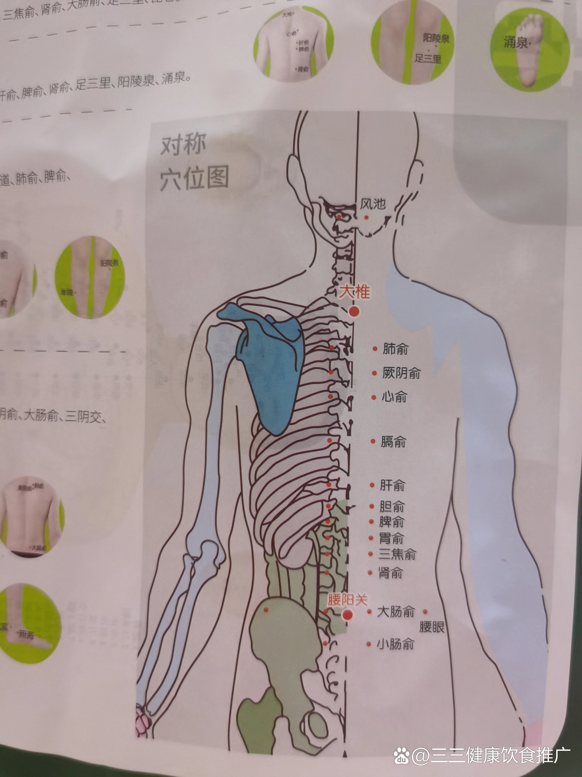 冠心病拔罐放血位置图图片