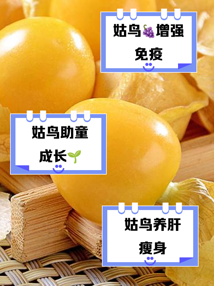 姑鸟的营养价值和功效