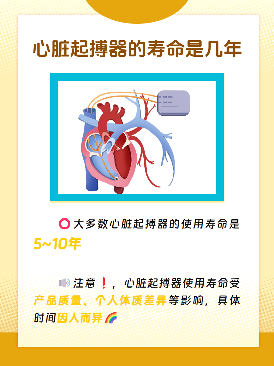 心脏起搏器要多少钱图片