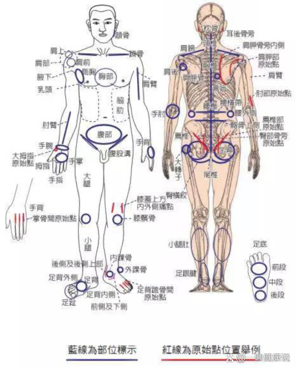 【原始点疗法】示意图