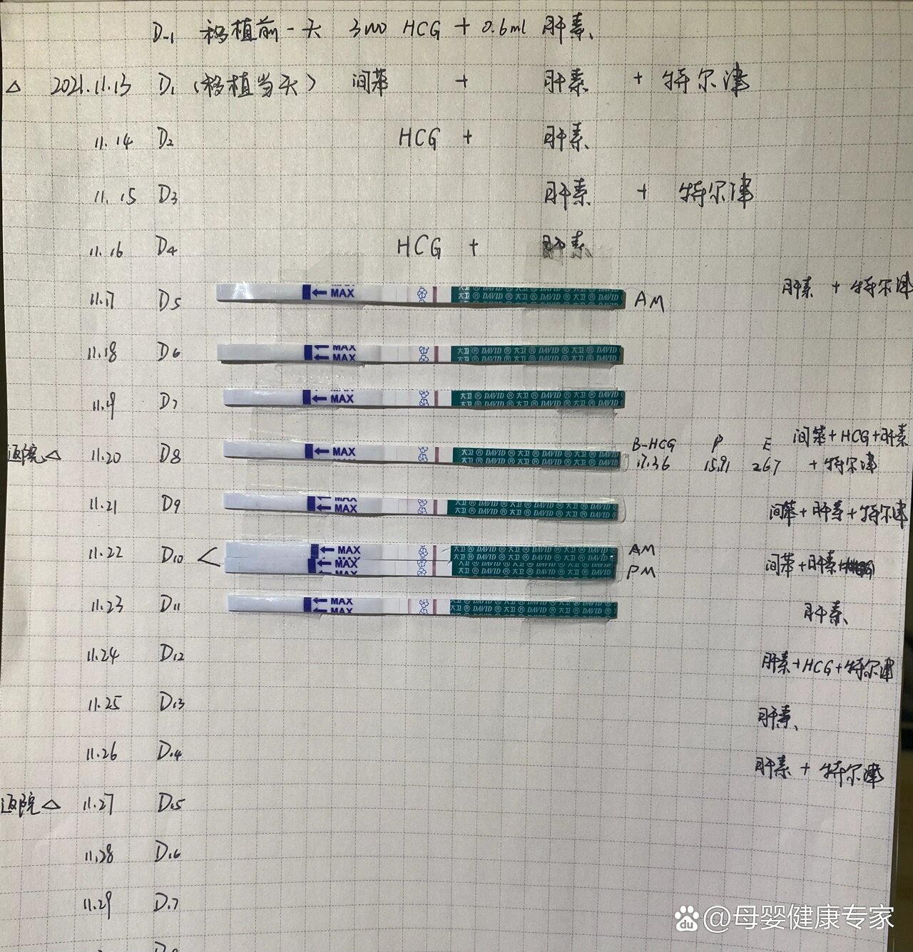 移植15天测出弱阳图片图片