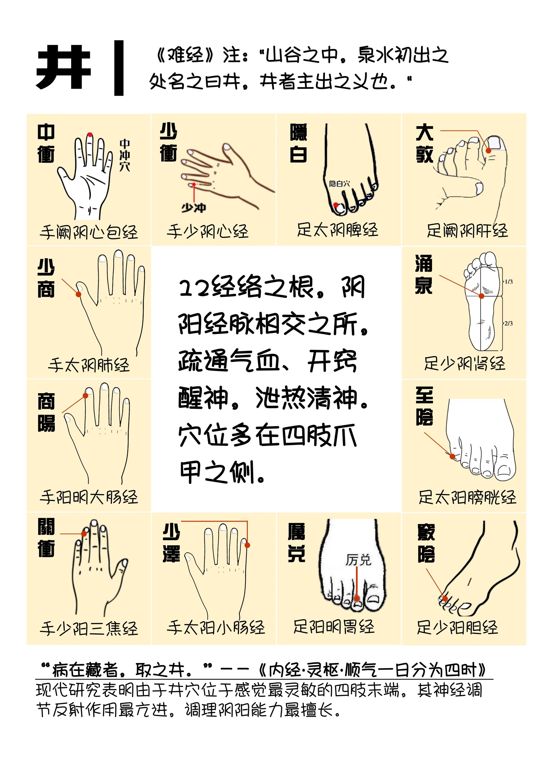 十二经络起点至止点图图片