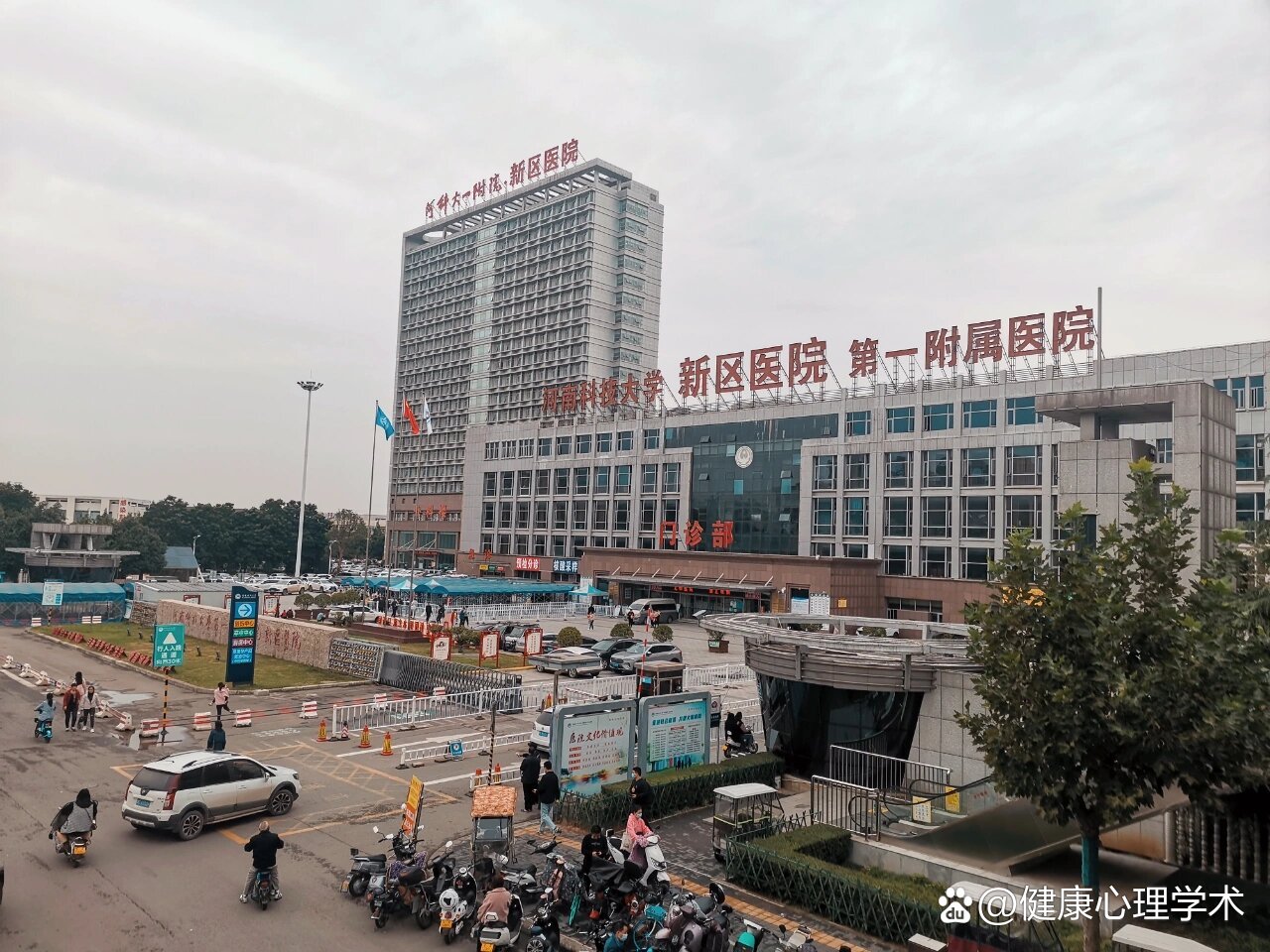 北大医院、全程陪同黄牛专家预约挂号的简单介绍