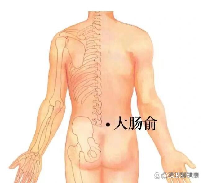 大渔中医每日一穴【大肠俞穴】