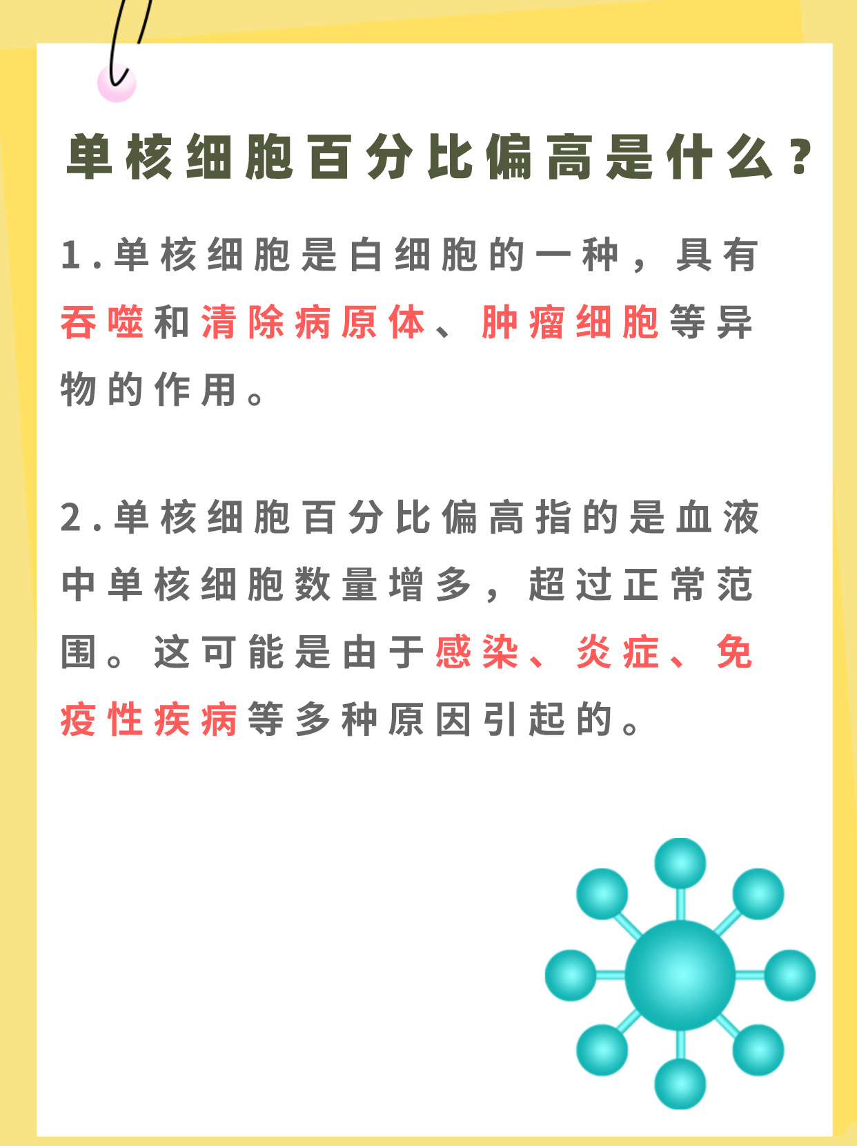 单核细胞百分比偏高:潜在的健康警示