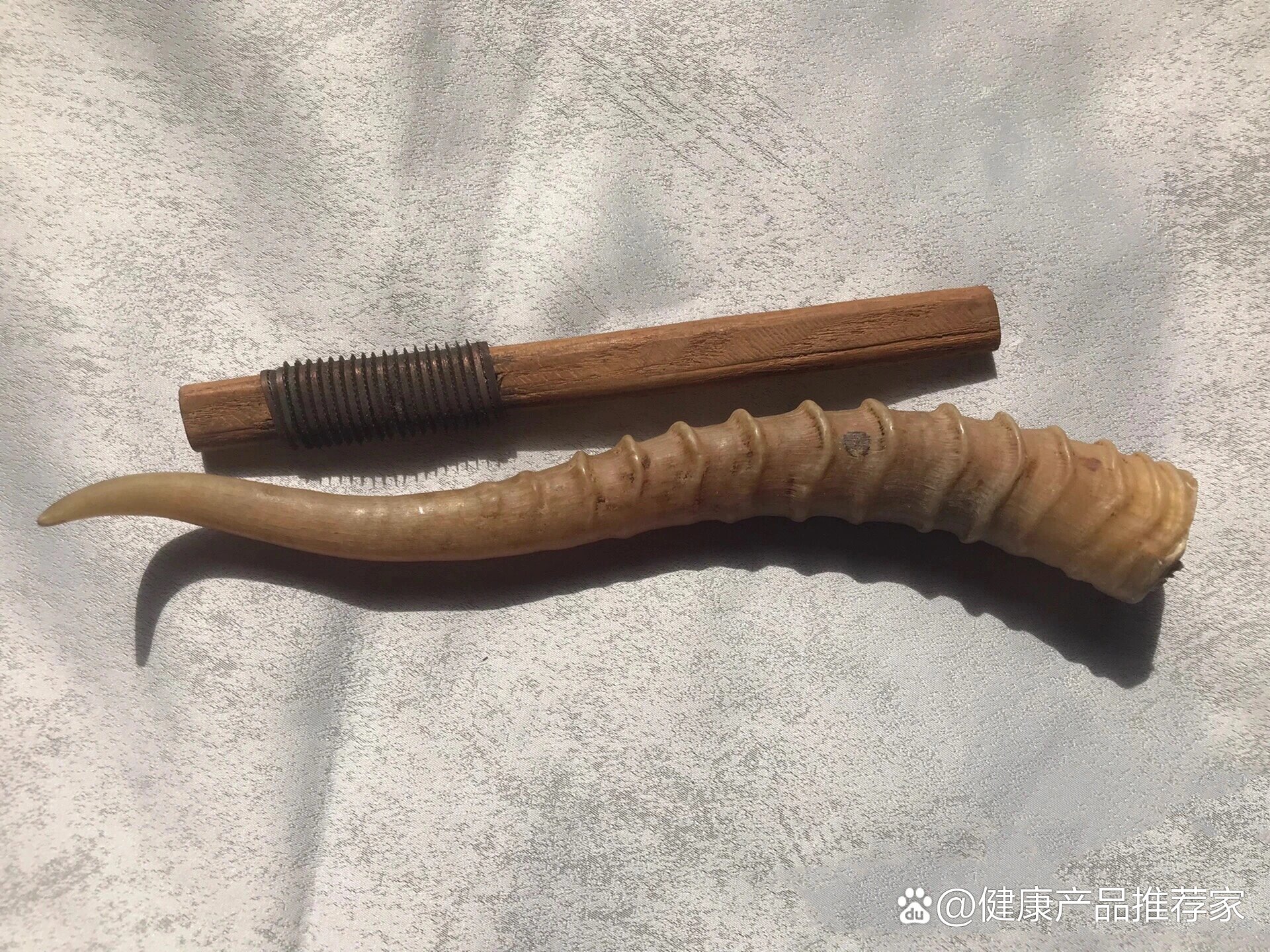 藏羚羊角粉图片