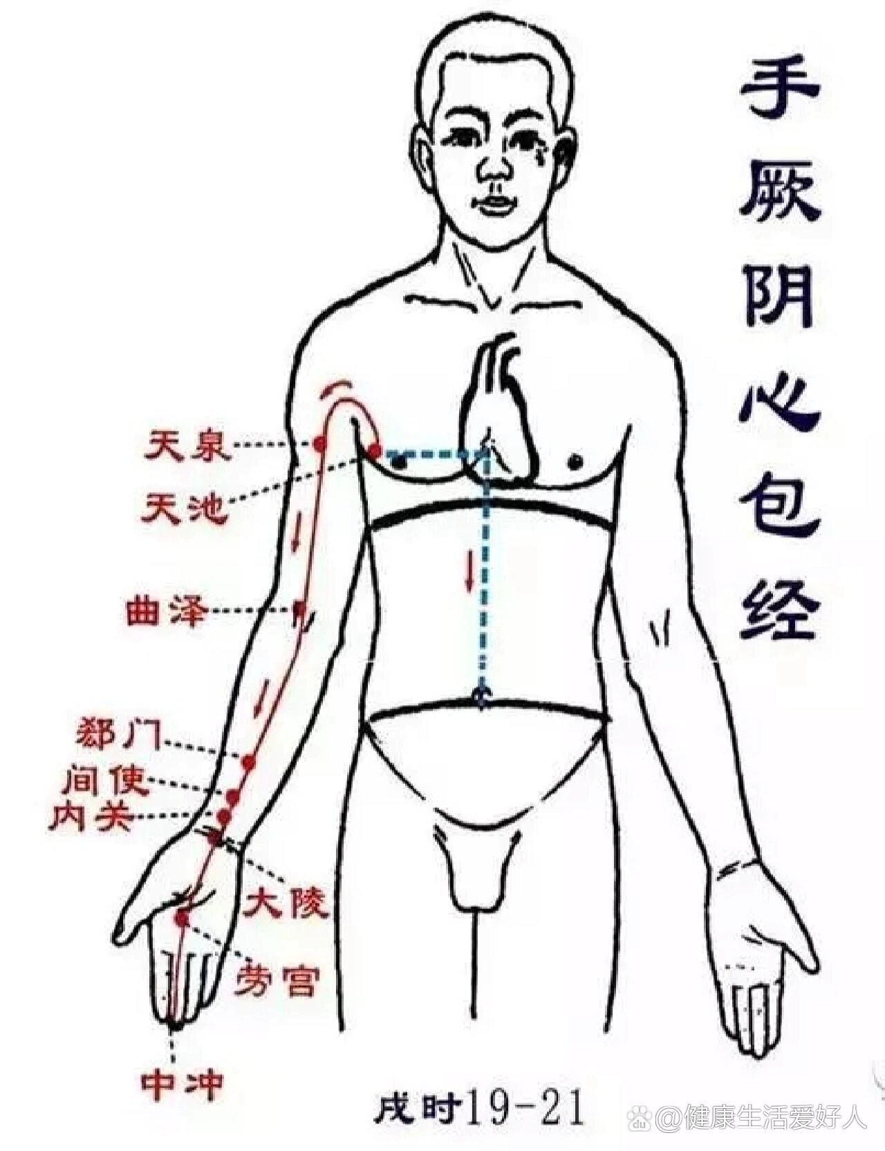 心包经走向经络图图片