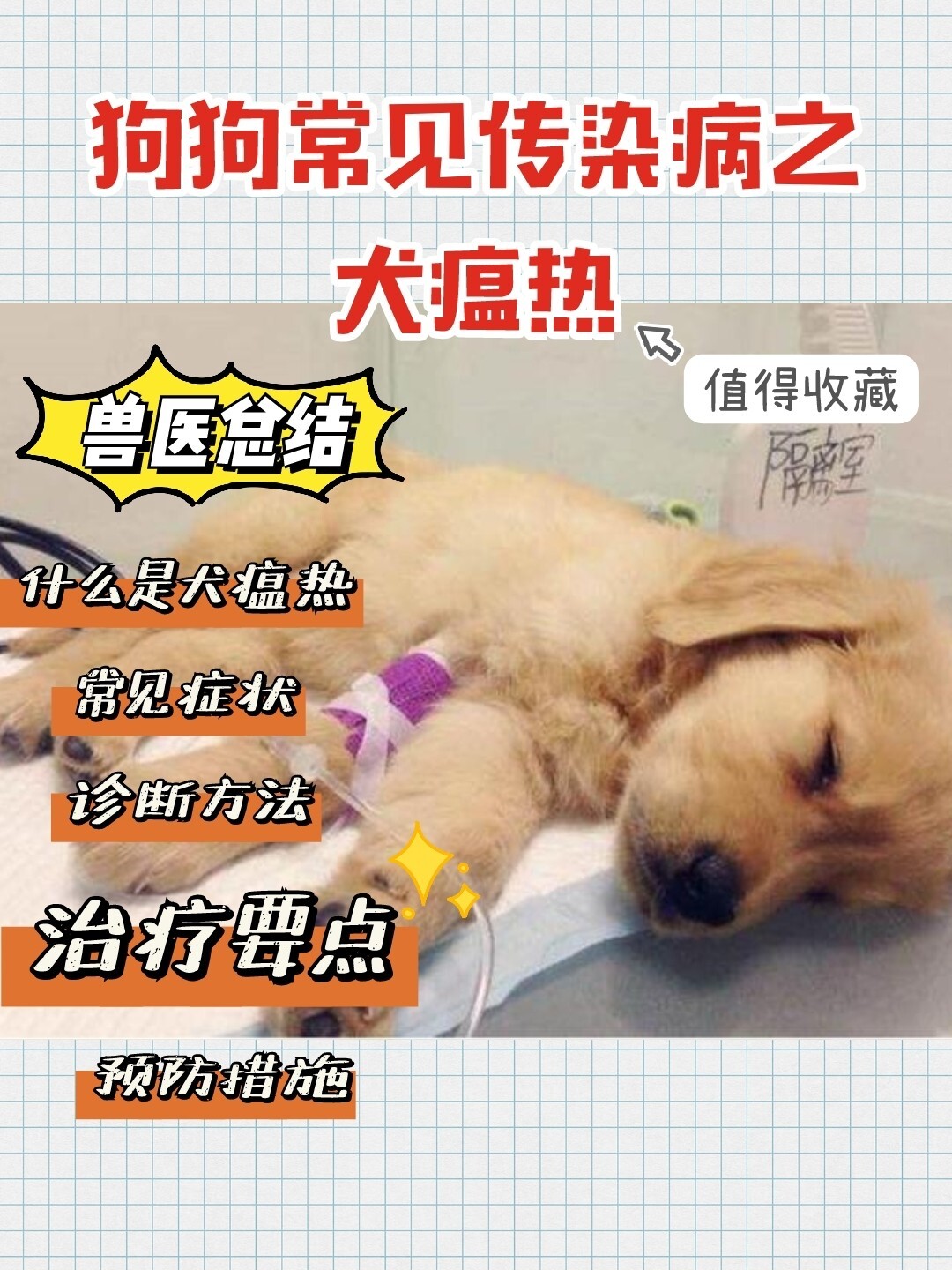 p>71犬瘟能治好吗95兽医专业解答 br>什么是犬瘟热71 br>97