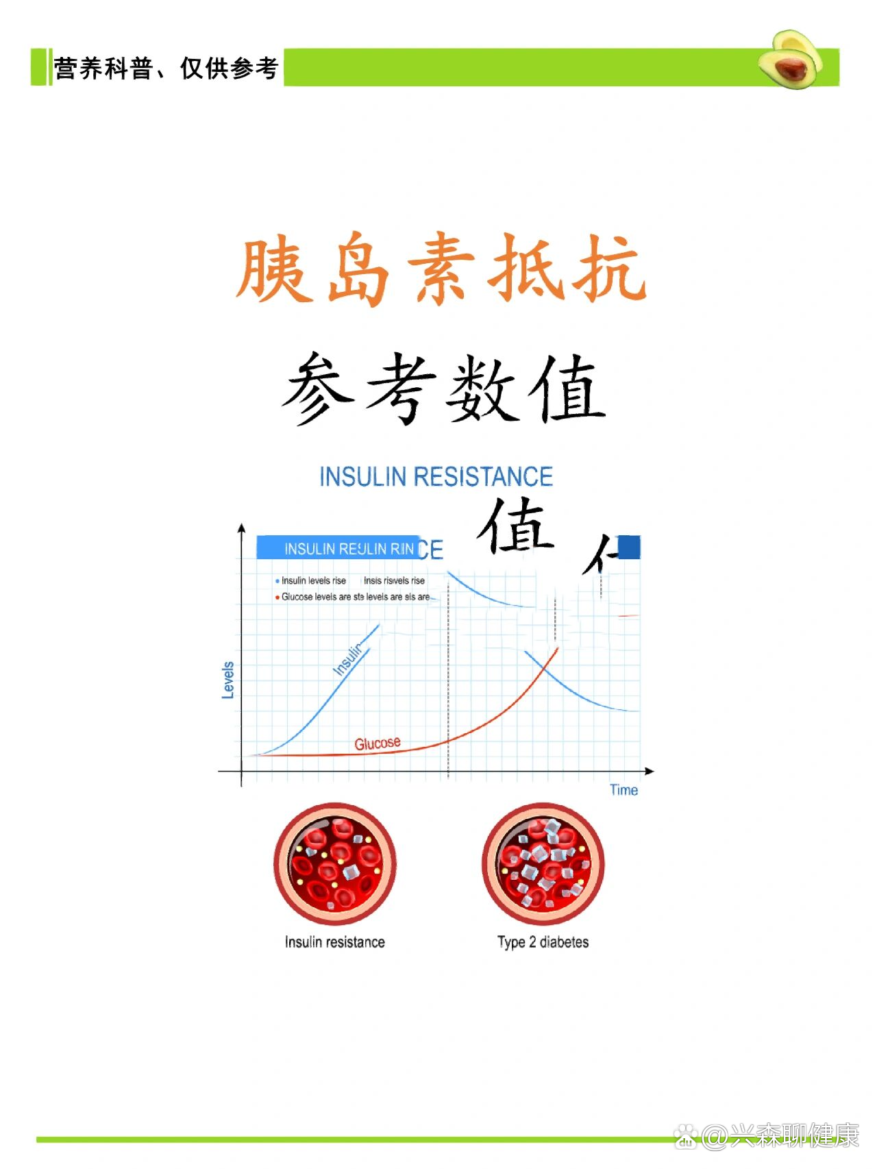 胰岛素抵抗参考数值