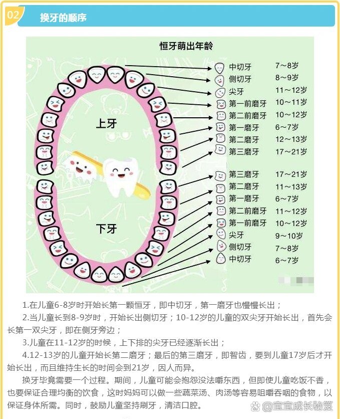 幼儿园换牙记录表图片