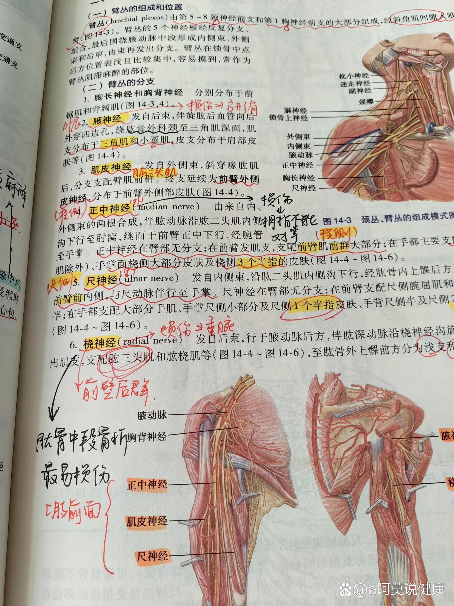 解剖押题!