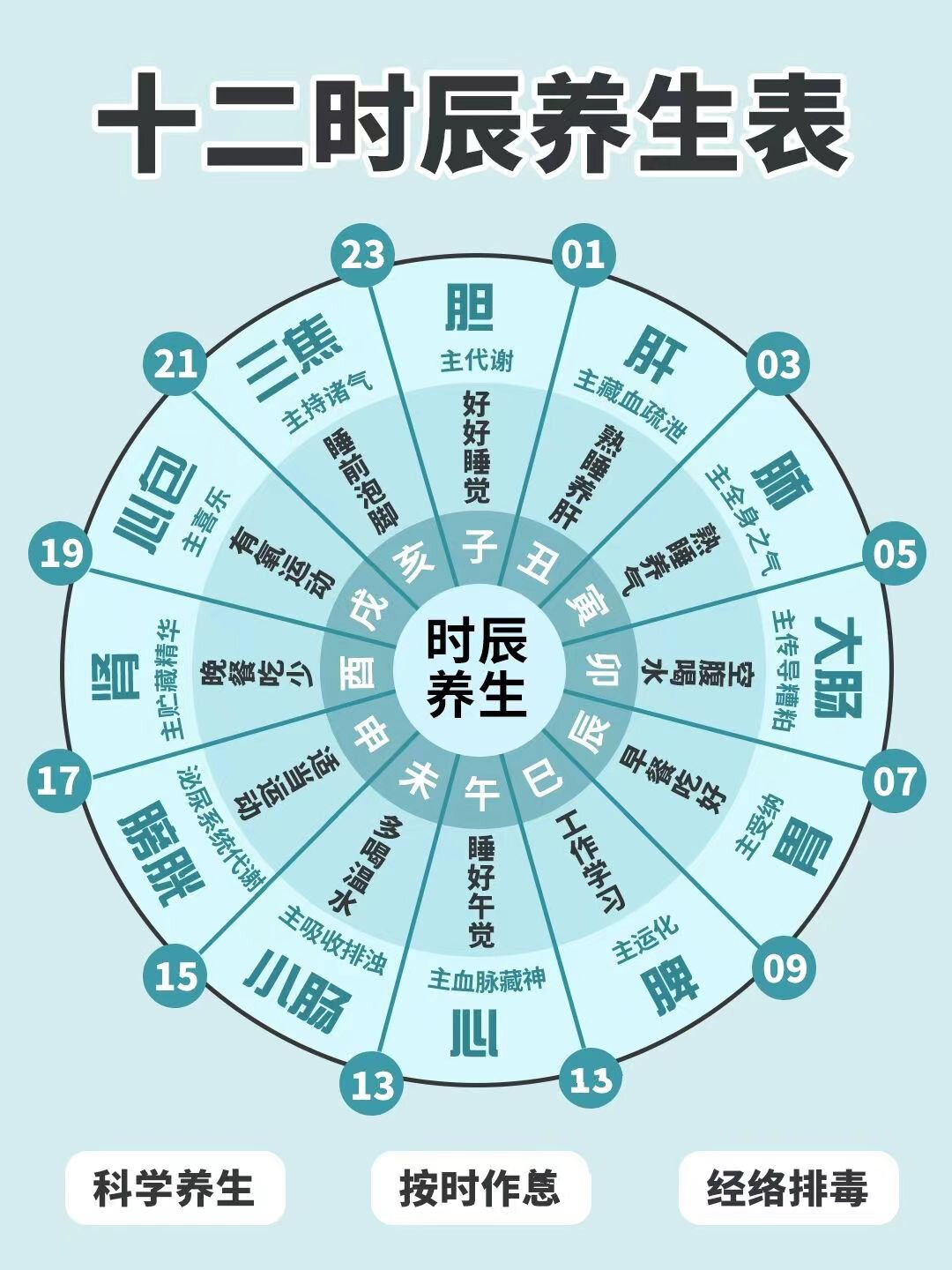 中医子午流注时间表,大家一定要看一下!