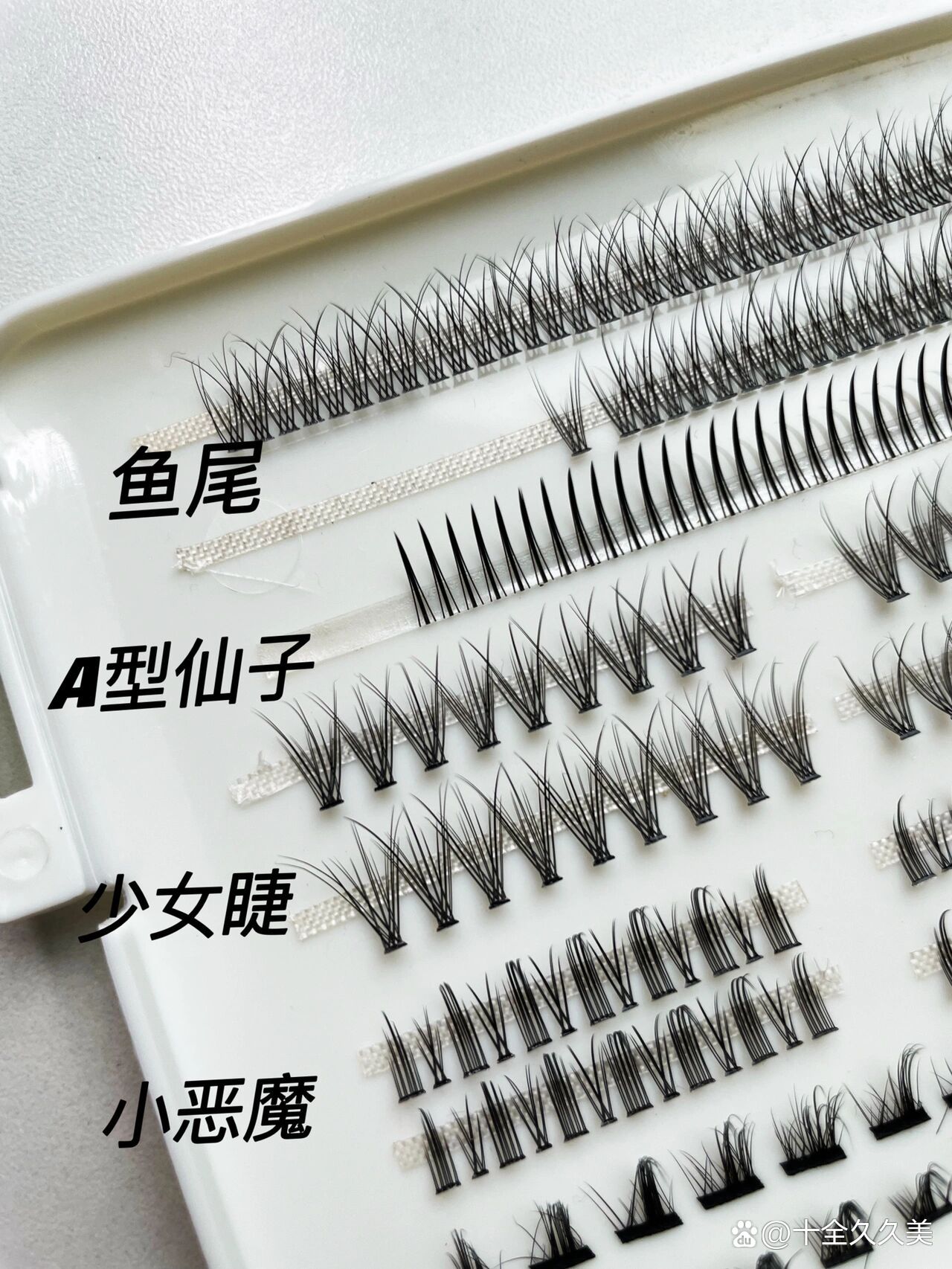 假睫毛种类大汇总|你最喜欢哪16615款?