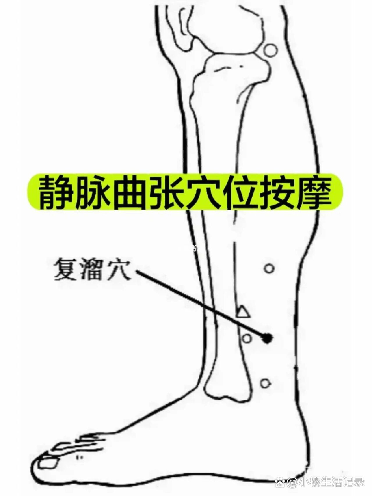 温溜的准确位置图图解图片