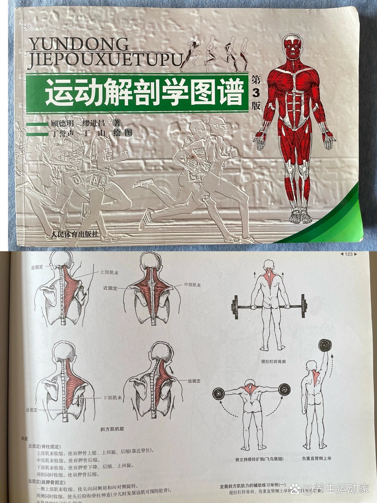 种草好书|健身入门必看|新手友好|健身书籍