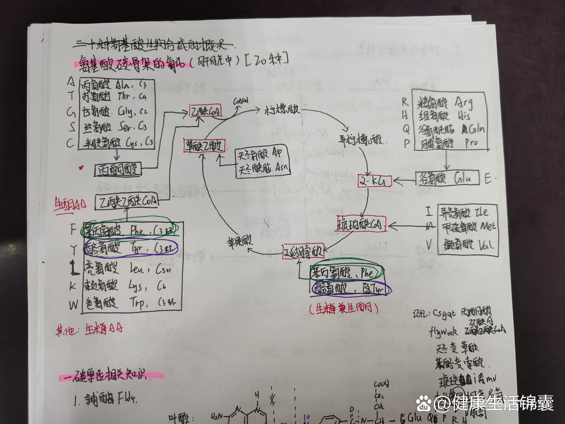 氨基酸口诀图片