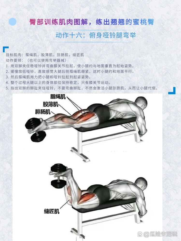 臀部训练肌肉图解,练出翘翘的蜜桃臀(续集)