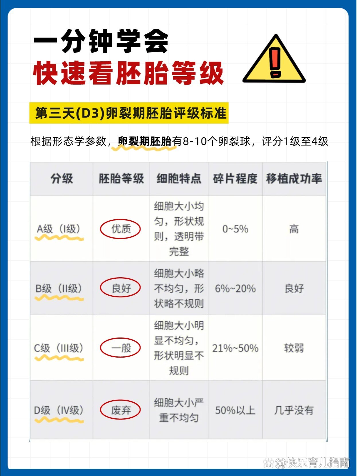 囊胚质量等级排行图片图片