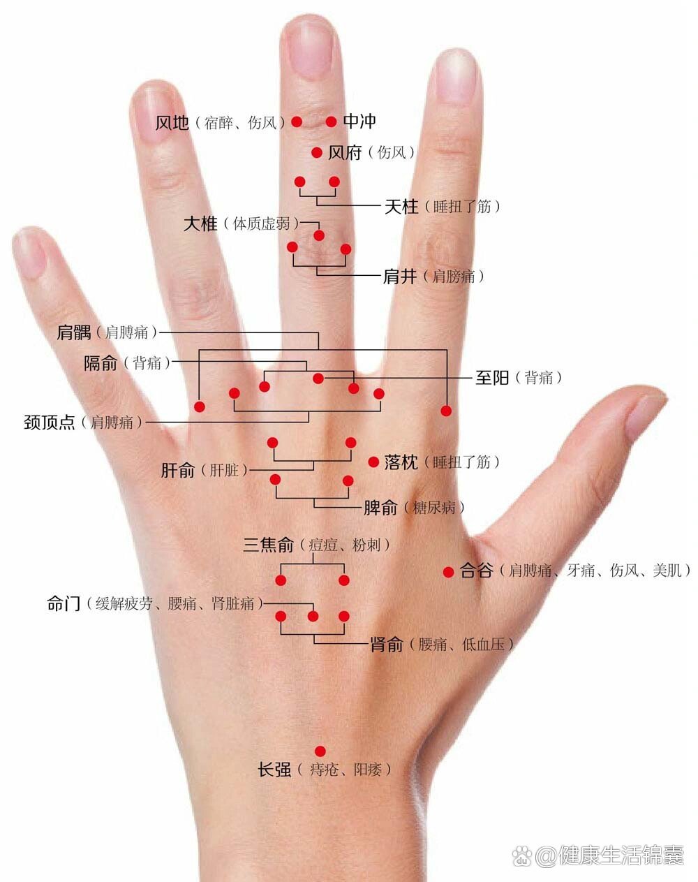 左手部位名称图片