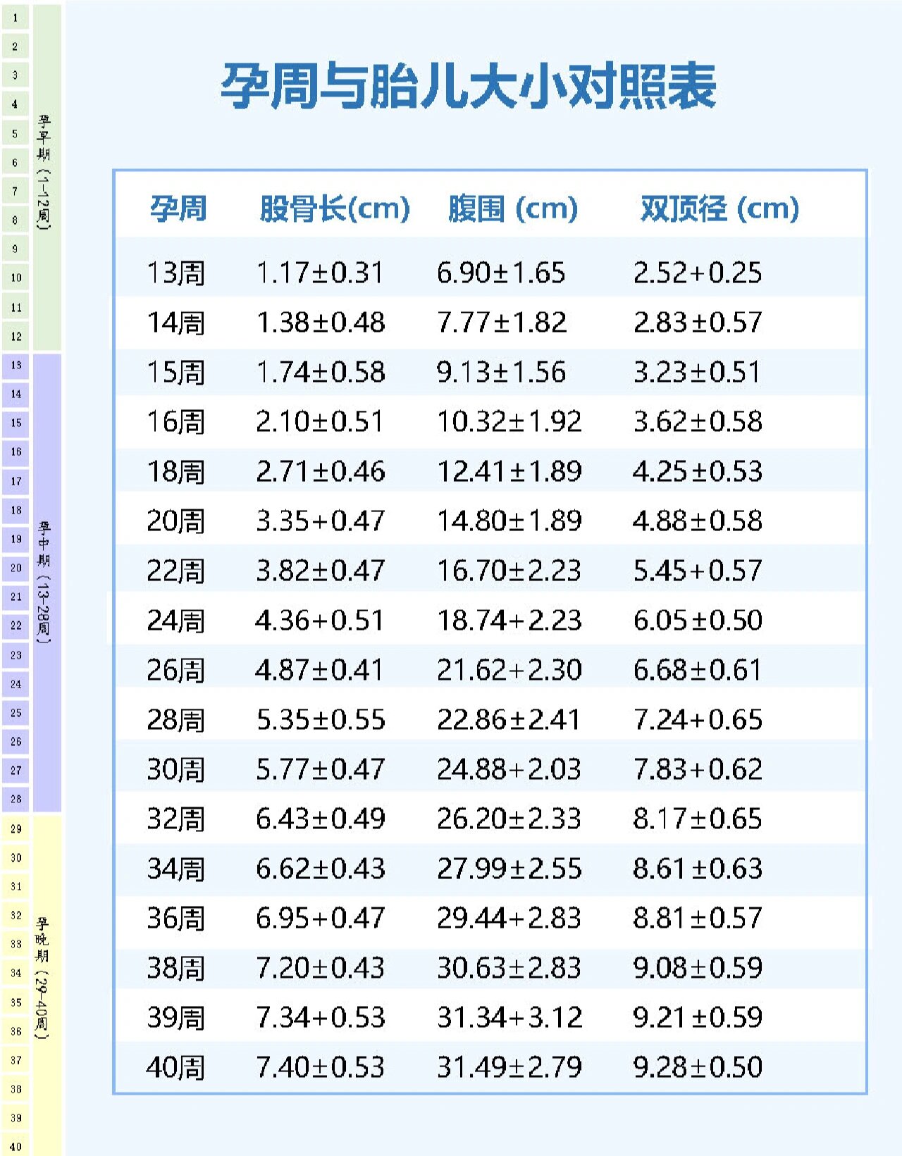 胎儿鼻骨和孕周对照表图片