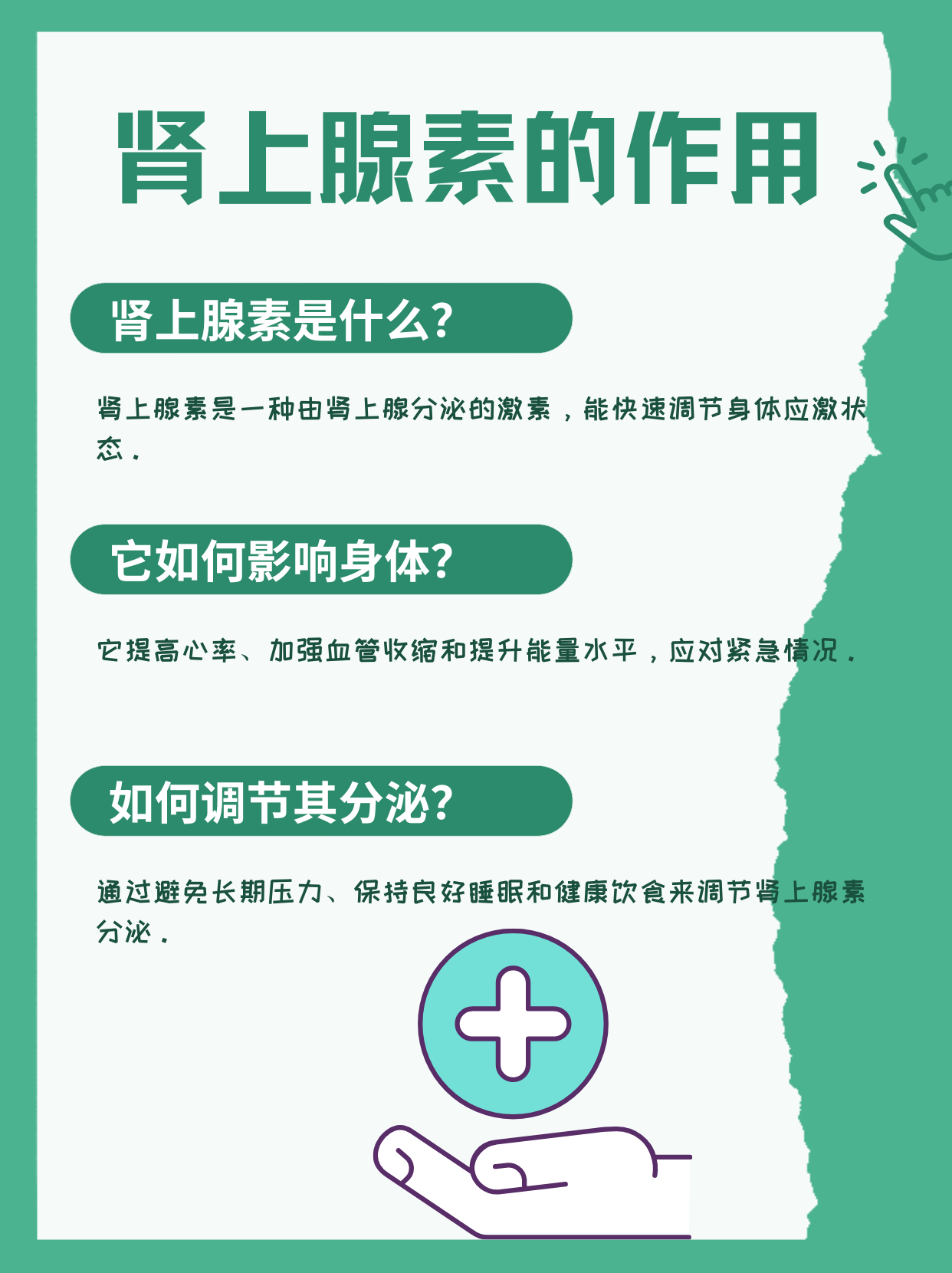 肾上腺素红?揭秘身体里的"小红人"92