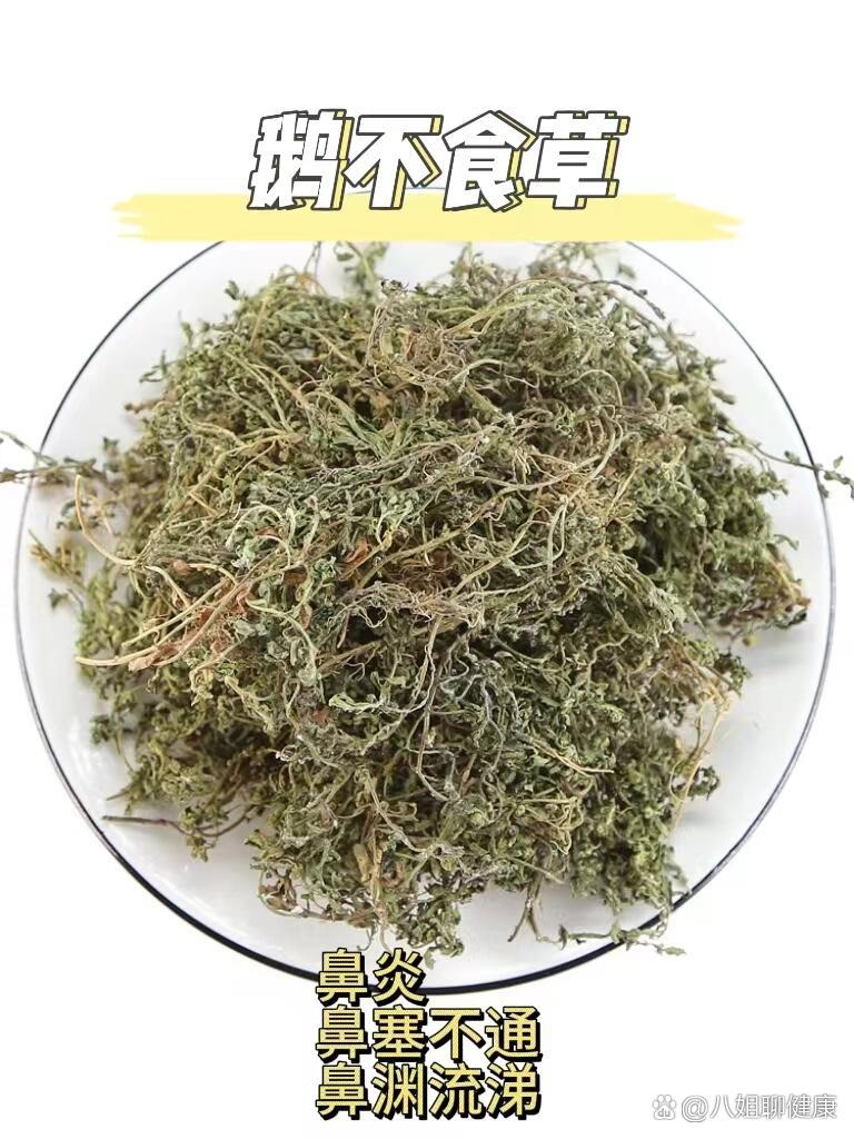 鹅不吃草治疗图片