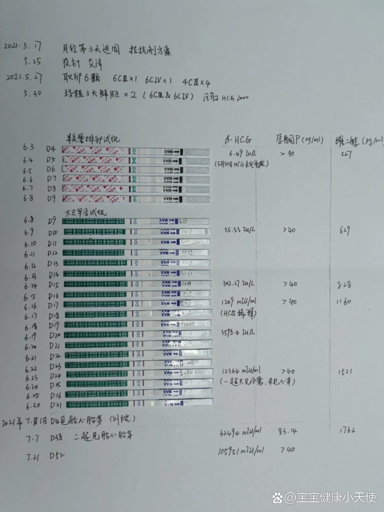 移植后试纸变化图图片