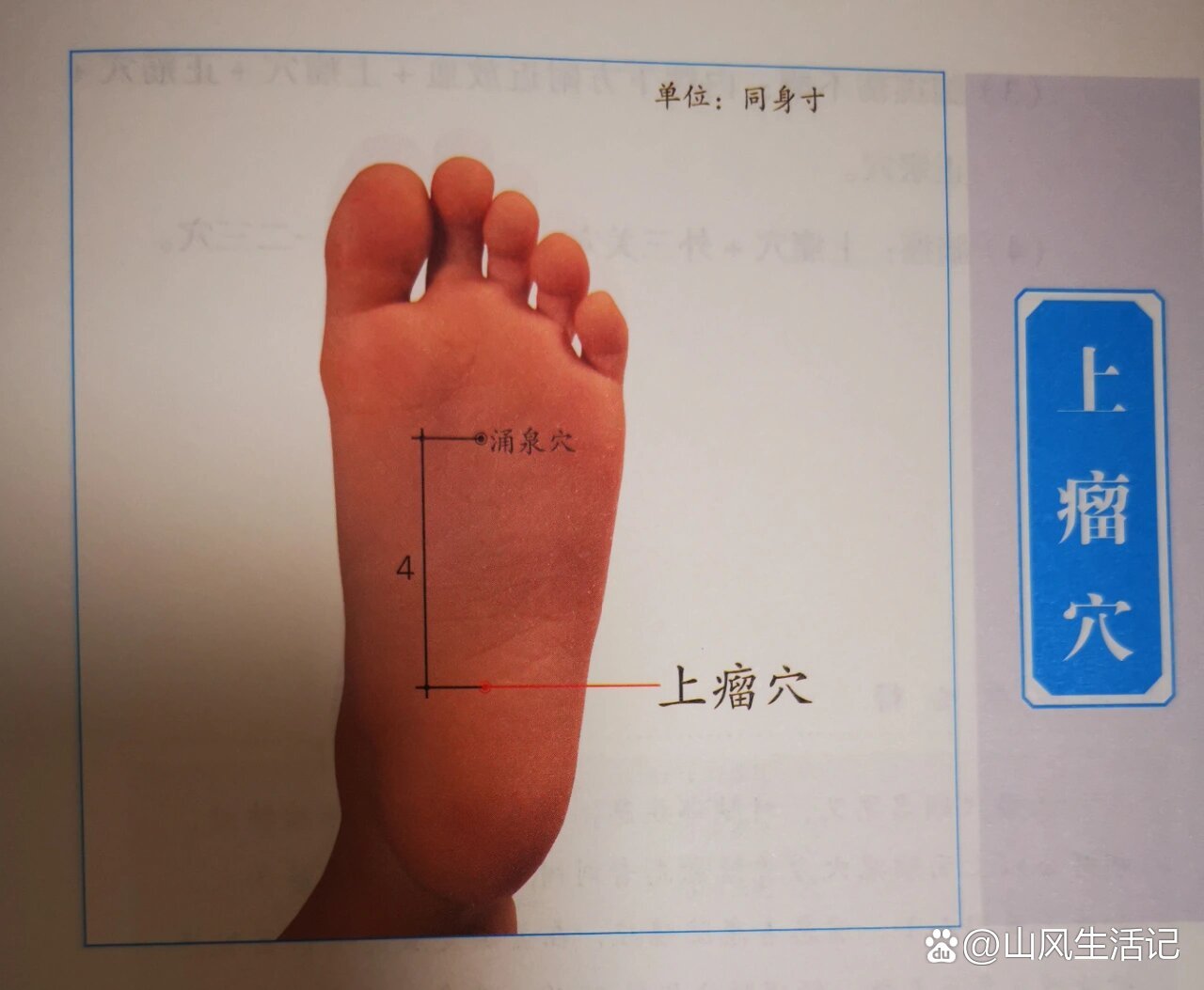 上瘤的准确位置功效与作用
