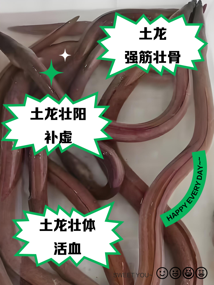 男人吃土龙有什么功效