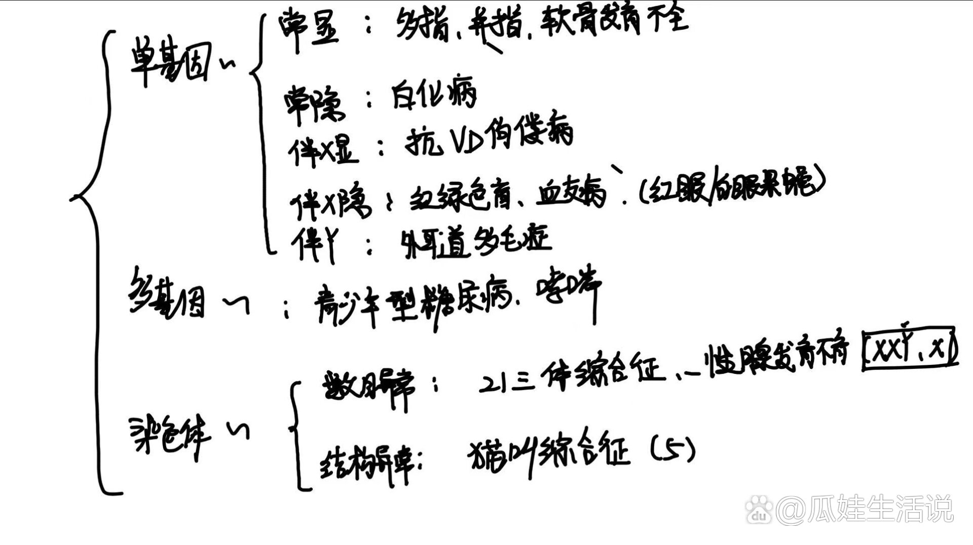 初二生物遗传图解六个图片