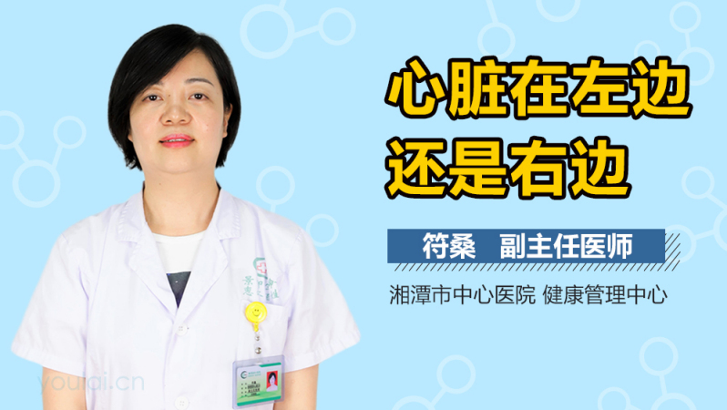 心脏在左边还是右边