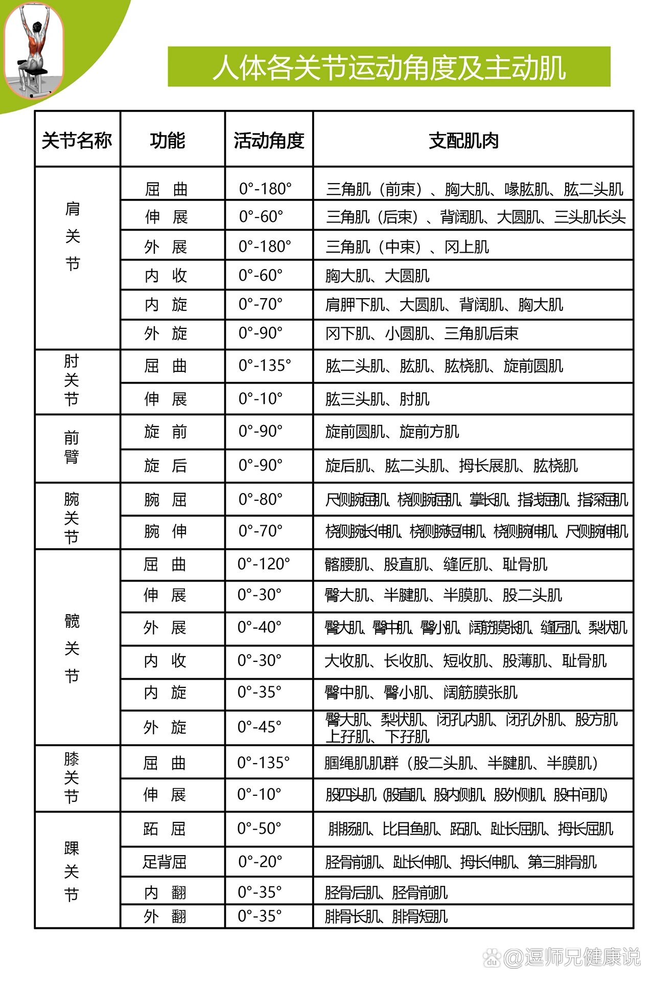 横纹肌分布图片