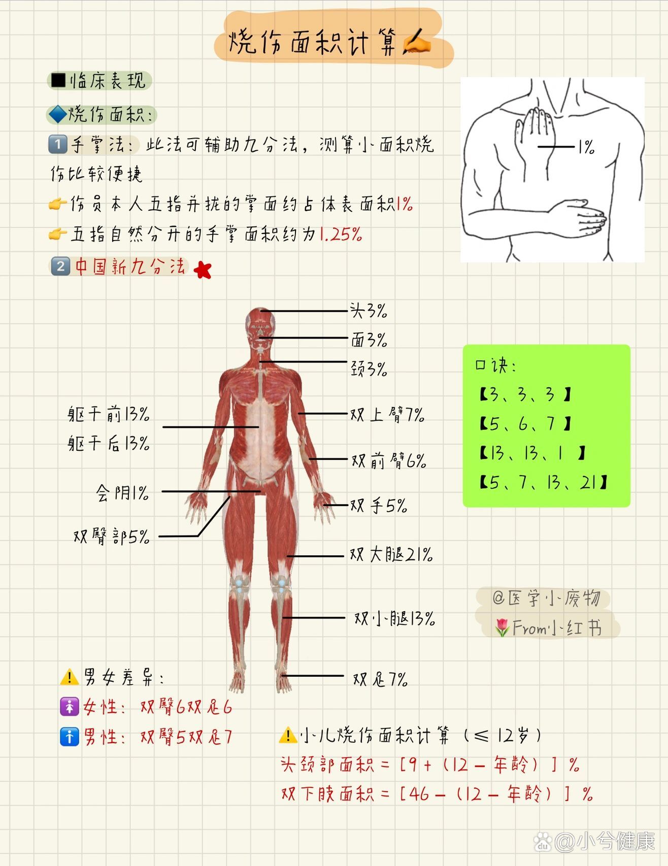 烧烫伤分级图片