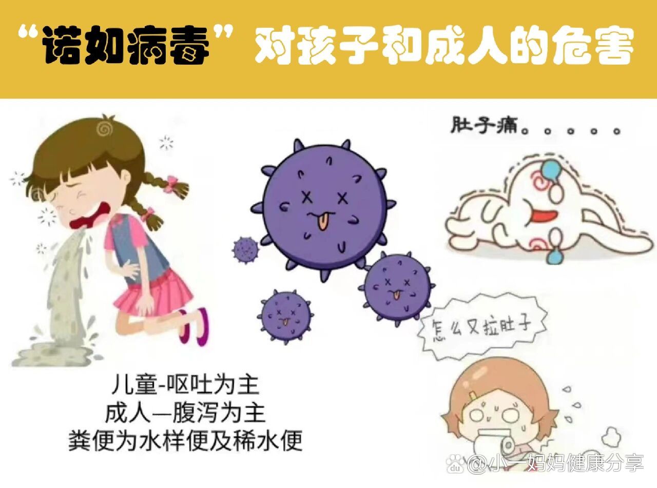"诺如病毒"对孩子和成人的危害