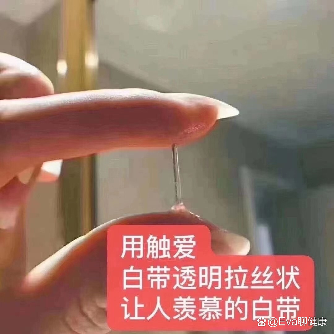 白色假丝酵母图片