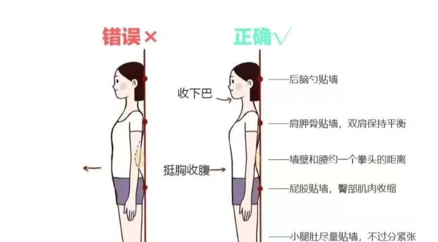 🧍♀️靠墙站立矫正脊柱侧弯