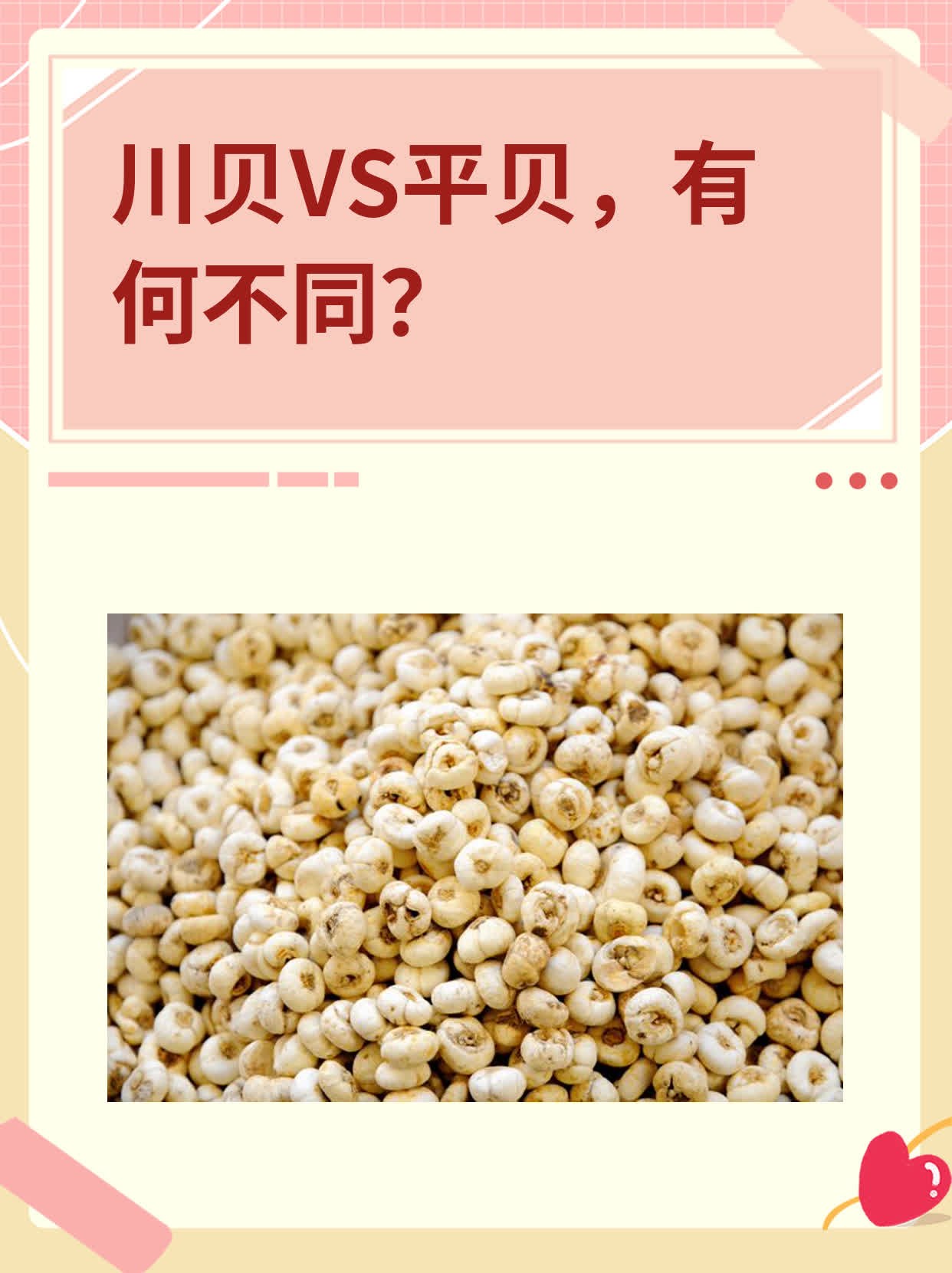 川贝vs平贝,有何不同