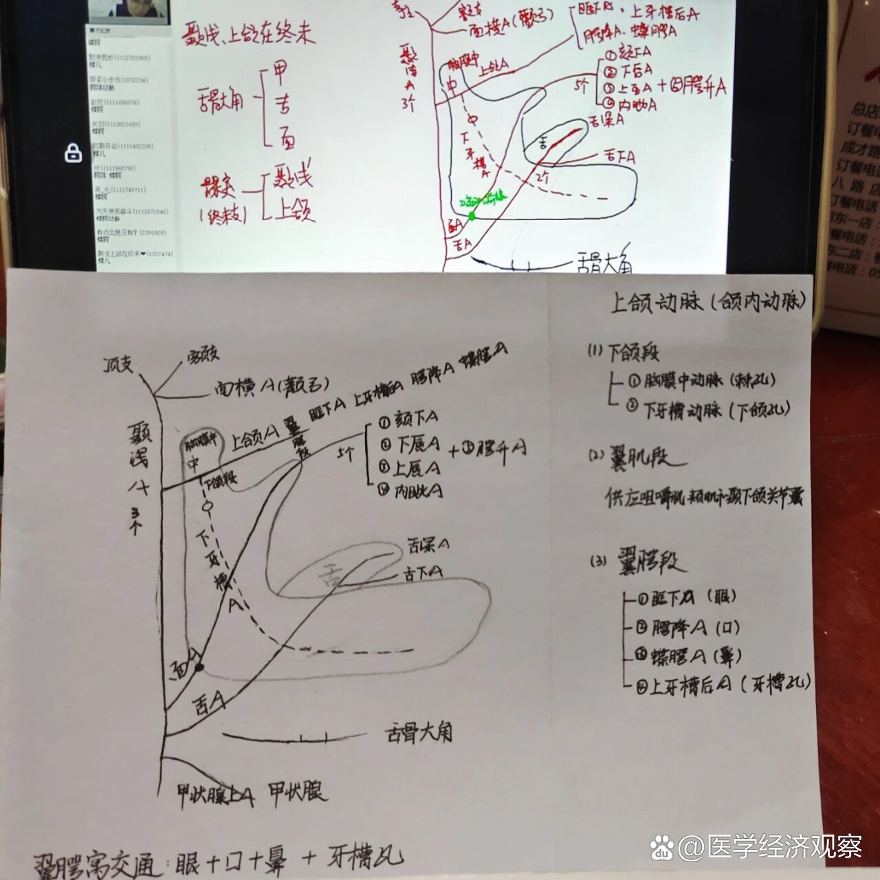 面动脉走行图片