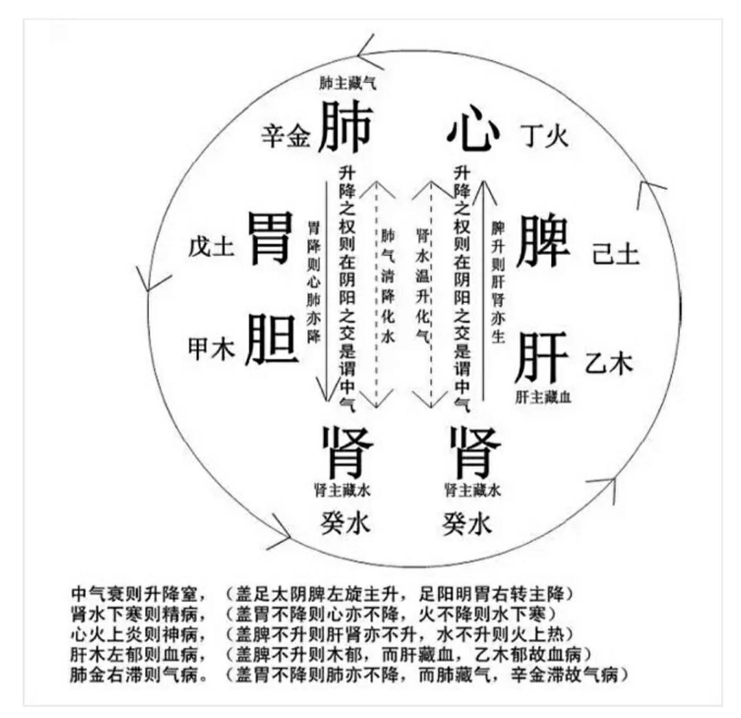五行属土的中药推荐
