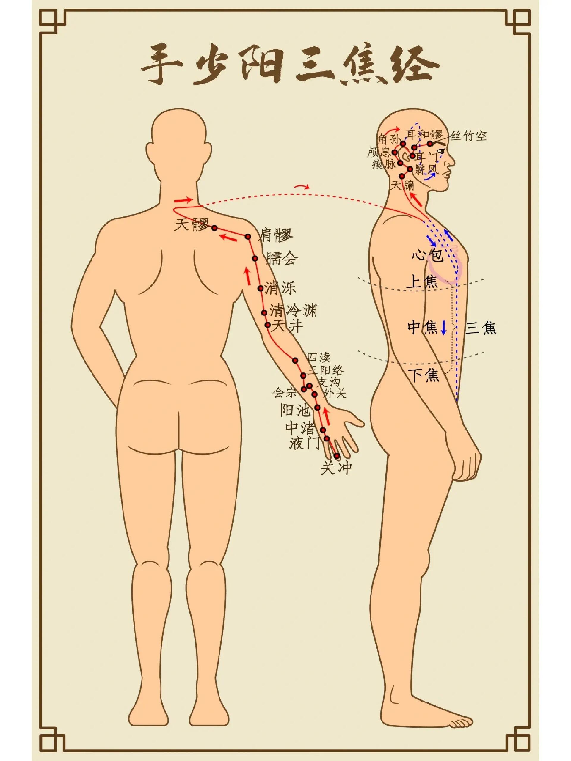 三焦经络图走向图片