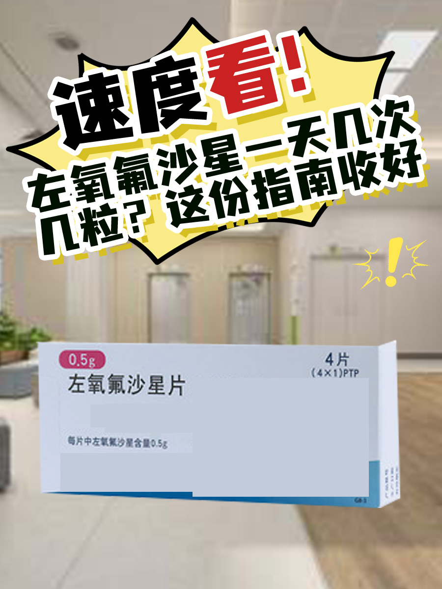 左氧氟沙星一天几次几粒?这份指南收好