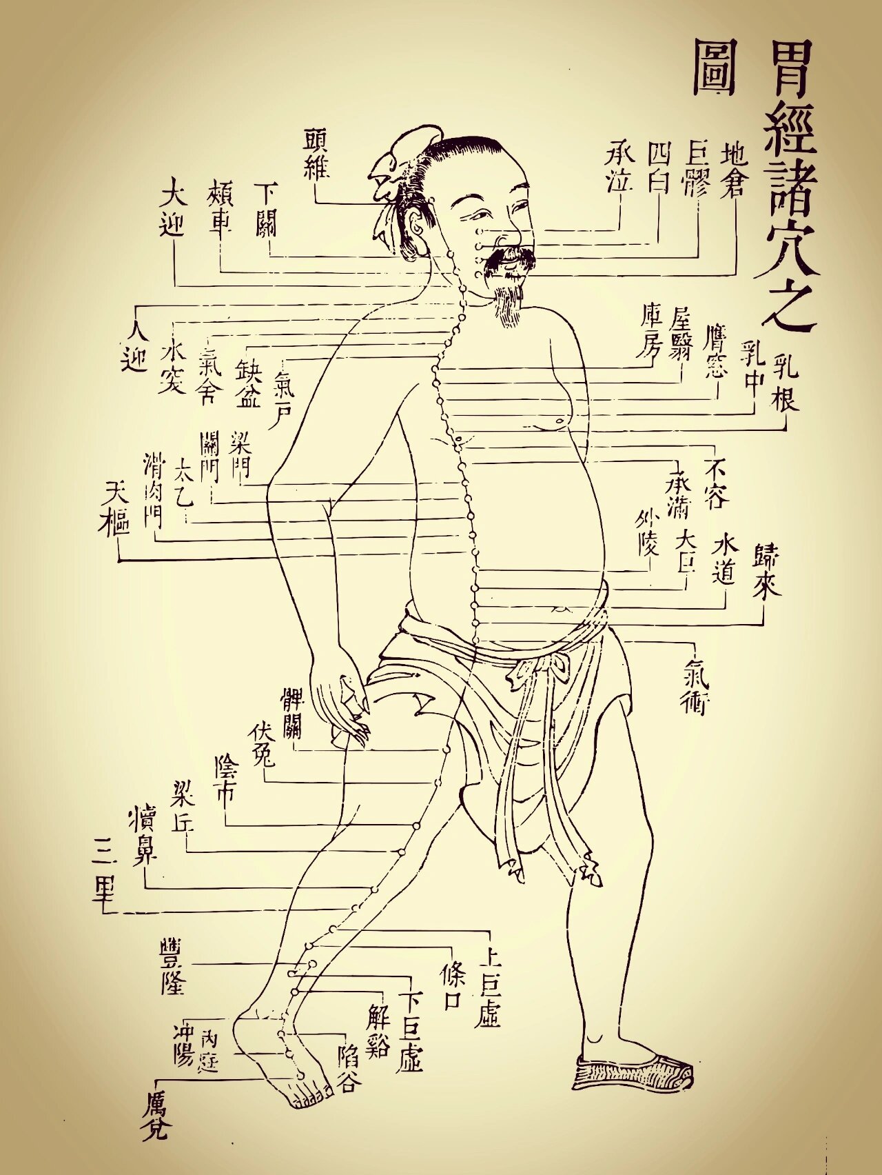 全民学经络74足阳明胃经背诵记忆图和歌诀